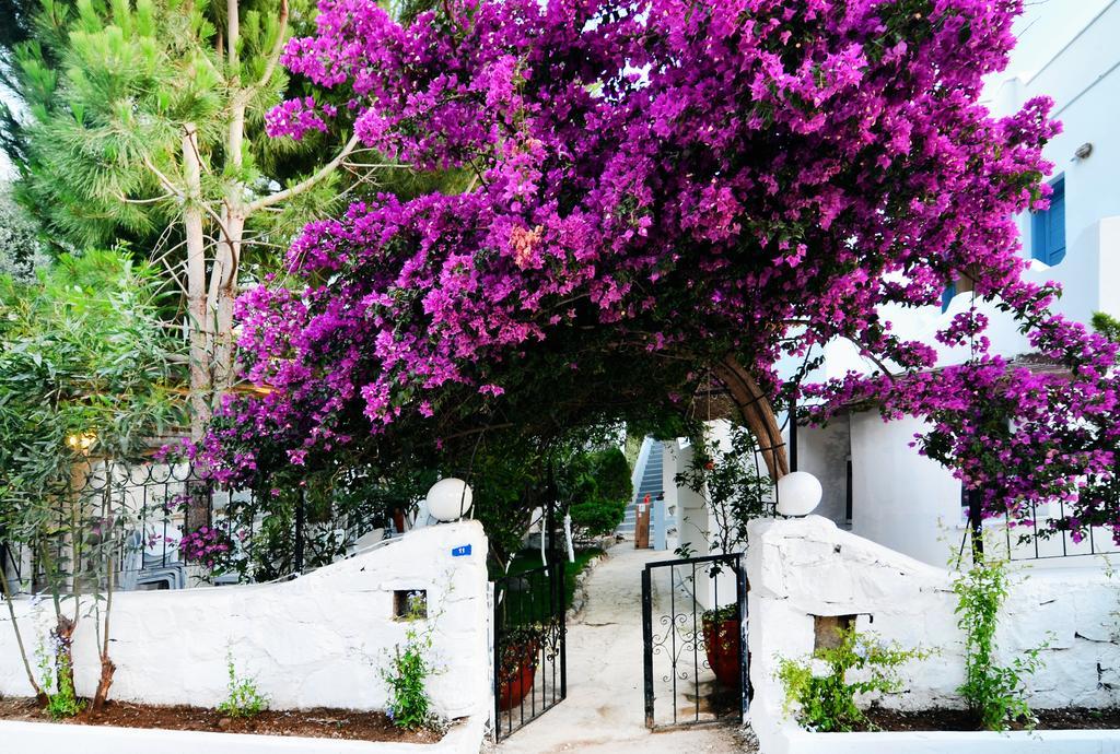 Misket Hotel Bodrum Gümüşlük Esterno foto